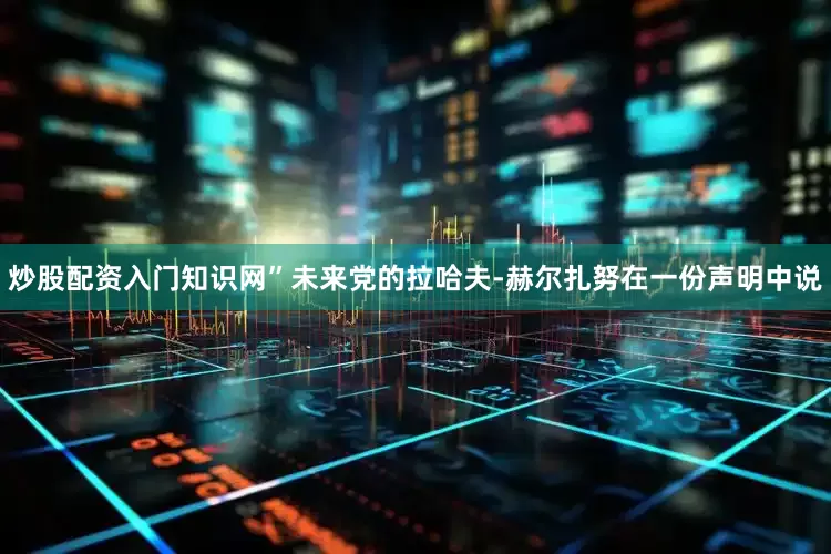 炒股配资入门知识网”未来党的拉哈夫-赫尔扎努在一份声明中说