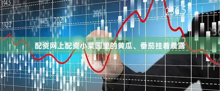 配资网上配资小菜园里的黄瓜、番茄挂着晨露