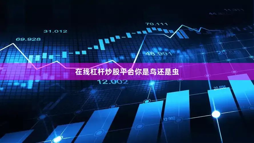 在线杠杆炒股平台你是鸟还是虫