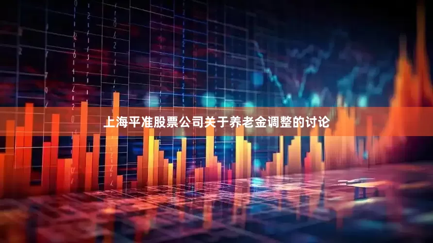 上海平准股票公司关于养老金调整的讨论