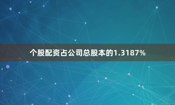 个股配资占公司总股本的1.3187%