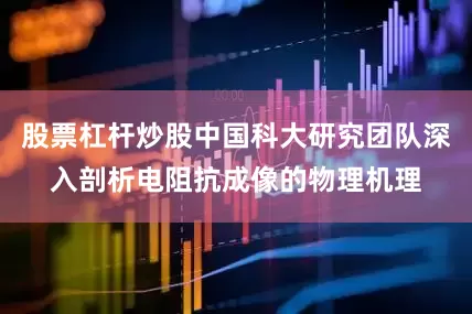 股票杠杆炒股中国科大研究团队深入剖析电阻抗成像的物理机理