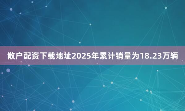 散户配资下载地址2025年累计销量为18.23万辆