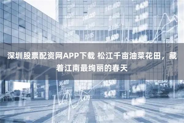 深圳股票配资网APP下载 松江千亩油菜花田，藏着江南最绚丽的春天