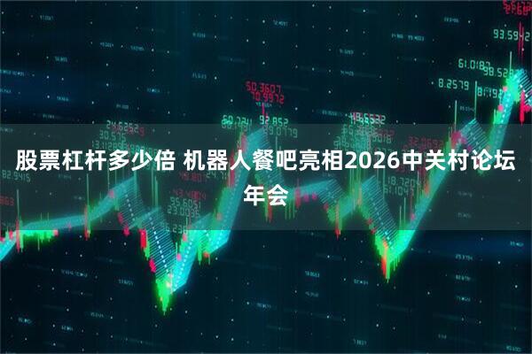 股票杠杆多少倍 机器人餐吧亮相2026中关村论坛年会
