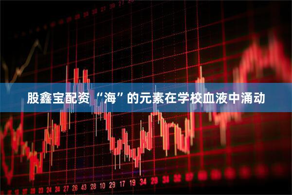 股鑫宝配资 “海”的元素在学校血液中涌动