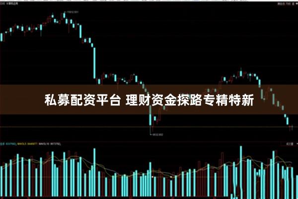 私募配资平台 理财资金探路专精特新